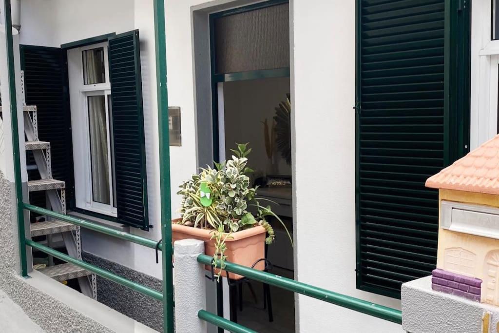 丰沙尔Casa Eva别墅 外观 照片
